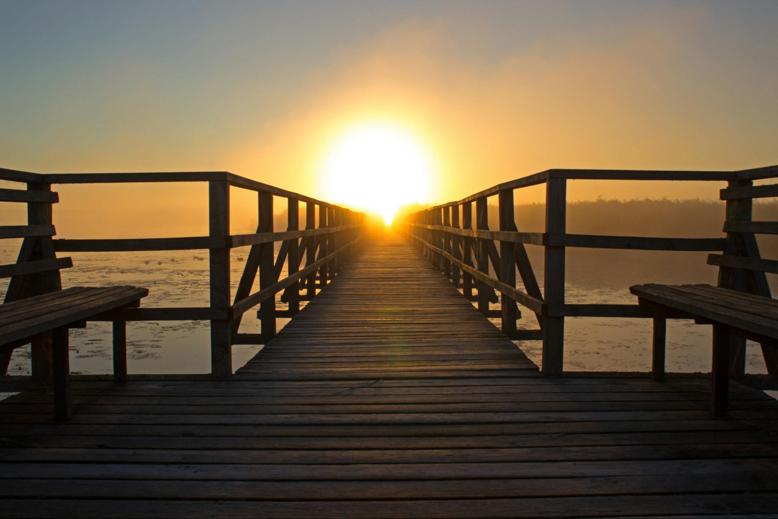 Dock Under Golden Hour Representing Vision Of Car2Go.rent